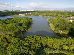 -沙家浜风景区