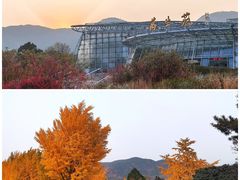-国家植物园