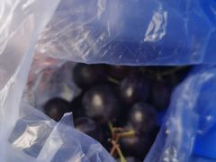 -三旗百汇商品城