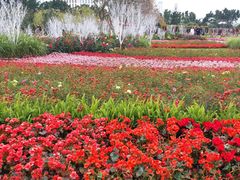 -龙环葡韵住宅式博物馆