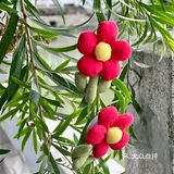 在泉州！莓超疯六一送你一朵小红花！！ 
