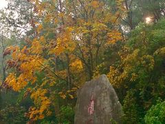 -南岳衡山风景名胜区