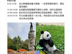 -成都大熊猫繁育研究基地