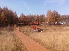 -塞罕坝国家级自然保护区