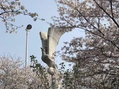-武汉大学-樱园