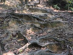 -火炉山森林公园