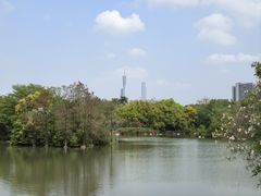 -海珠湖公园