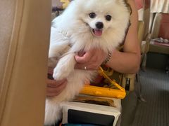 -仙人谷漂流景区