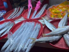 -中天钢铁体育馆(南一门店)