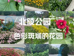 -北陵公园