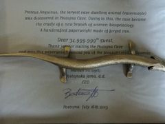 -波斯托伊纳溶洞