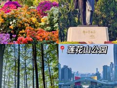 -平安金融中心云际观光层