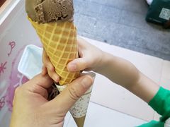 -成裕雪糕店(士多店)