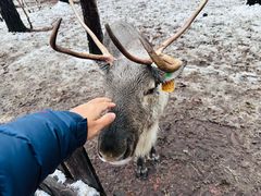 -北极村旅游风景区