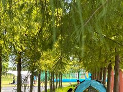 -春花秋色城市公园