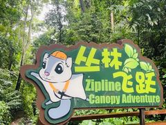 -西双版纳原始森林公园