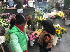 -大连北马山庄