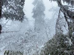 -瓦屋山景区