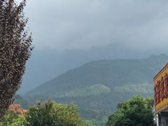 -宜城私房菜.臭鳜鱼(九华新街店)