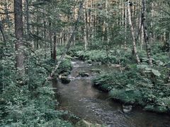 -汤旺河林海奇石景区
