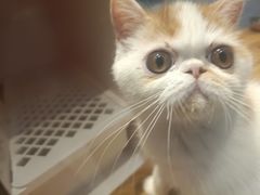 -狗道宠物(常熟印象城店)