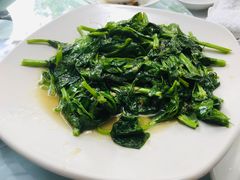 -锦江(Southgate)