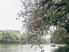 -潮州西湖