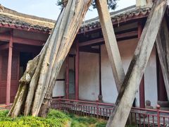 -太平天国侍王府