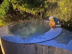-仁爱团泊湖温泉中心