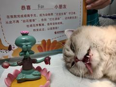-瑞派宠物医院·24h·骨外科·皮肤科·全科宠物医疗转诊中心(沈阳浑南院)