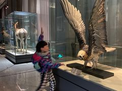 -青藏高原自然博物馆