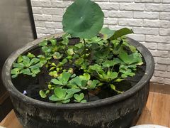 -813芭依珊 BAESAn(皇冠十畝地店)