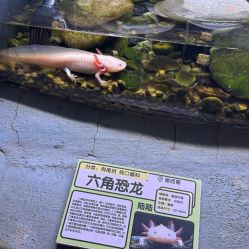 -Zoolung Zoolung动物主题公园(海信广场店)