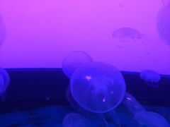 -沈阳海洋探索中心