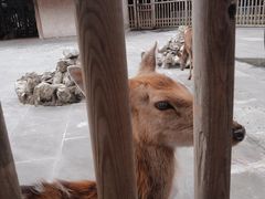 -金沙遗址博物馆