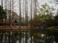 -共青国家森林公园-售票处