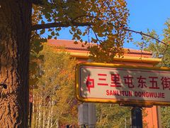 -三里屯东五街银杏大道