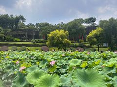 -广州莲花山旅游区