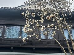 -杭州西湖柳莺里酒店