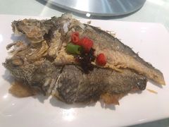 -一麦·龙岛(上海青浦店)