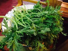 茼蒿-东镇老火锅(长春路首店)