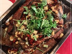 -成都美食巫山烤鱼(三里河路店)