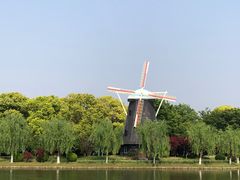 -上海鲜花港
