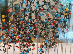 -好望角大饭店(肇嘉浜路店)