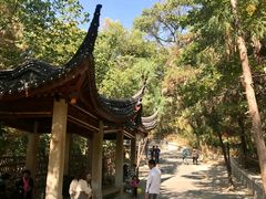 -灵岩山风景区