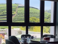-龙坞茶村