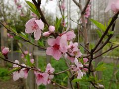 -前小桔亲子创意农场·草莓采摘·露营烧烤