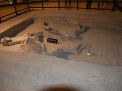 -洛阳周王城天子驾六博物馆