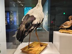 -中国湿地博物馆