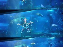 -多彩贵州城极地海洋世界